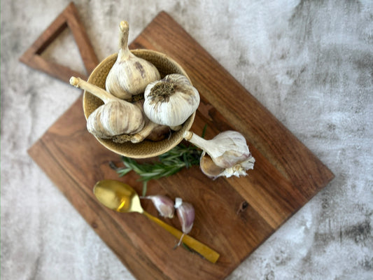 2025 Crop Coming Soon - Premium Alberta-Grown Russian Red Garlic – 1 lb