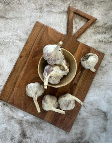 2025 Crop Coming Soon - Premium Alberta-Grown Russian Red Garlic – 1 lb